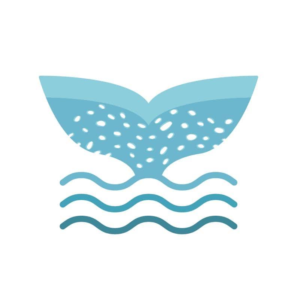 Whale Shark Therapy Services